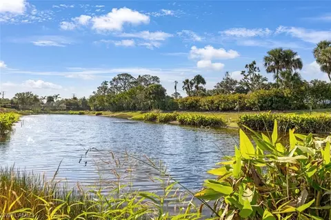 21309 Estero Preserve Run, Estero, FL 33928 photo 41