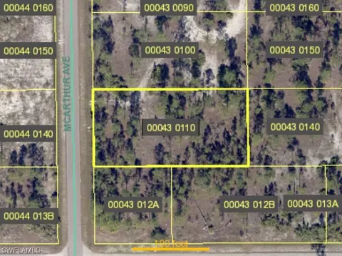 1102 Mcarthur Ave, Lehigh Acres, FL 33936