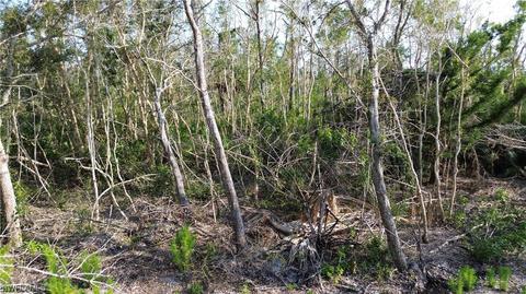 Access Undetermined, Bokeelia, FL 33922