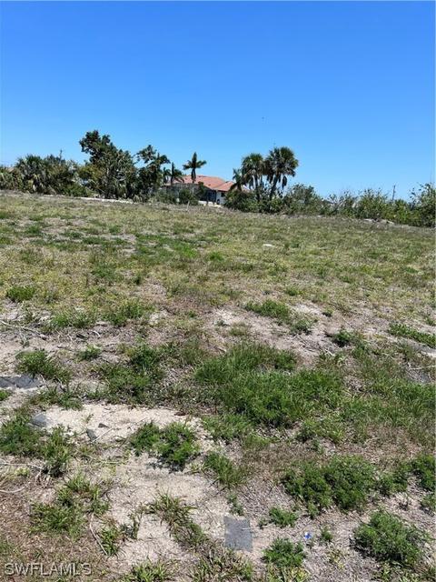 1117 NW 8th Ter, Cape Coral, FL 33993