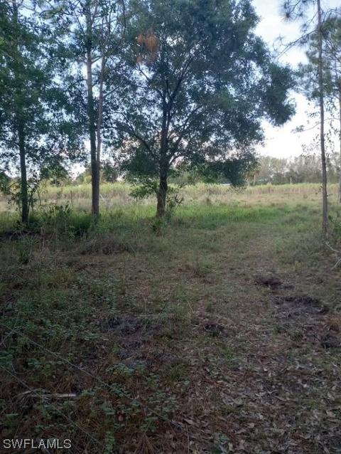 397 Tampa Ave, Clewiston, FL 33440