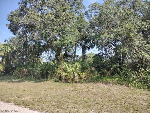 Argosy Rd, Labelle, FL 33935 photo 6