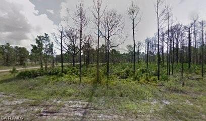 843 Downer Ave S, Lehigh Acres, FL 33974