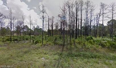 845 Downer Ave S, Lehigh Acres, FL 33974