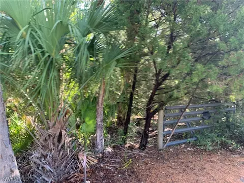 15819 W River Rd, Inglis, FL 34449 photo 6