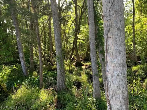 15819 W River Rd, Inglis, FL 34449 photo 7
