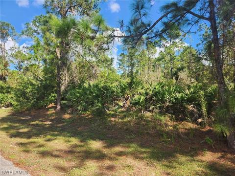 2110 Moore Ave, Alva, FL 33920