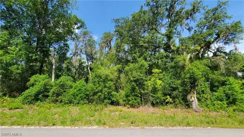 7491 Shasta St, Webster, FL 33597