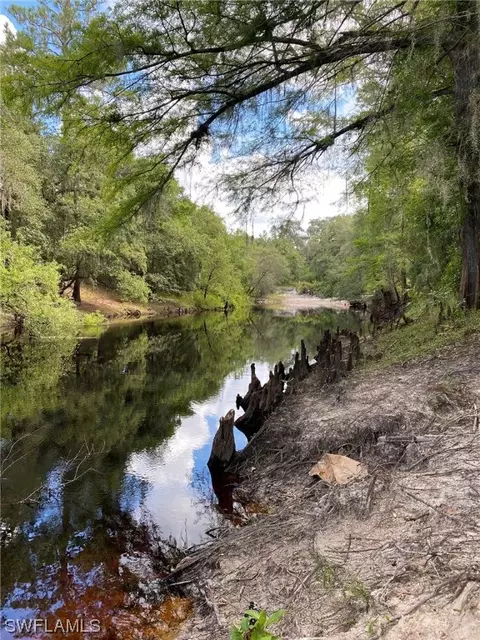 8115 Shasta St, Webster, FL 33597 photo 3