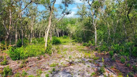 8115 Shasta St, Webster, FL 33597 photo 6