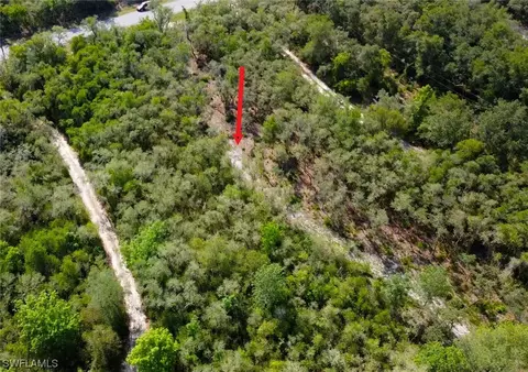 8115 Shasta St, Webster, FL 33597 photo 7