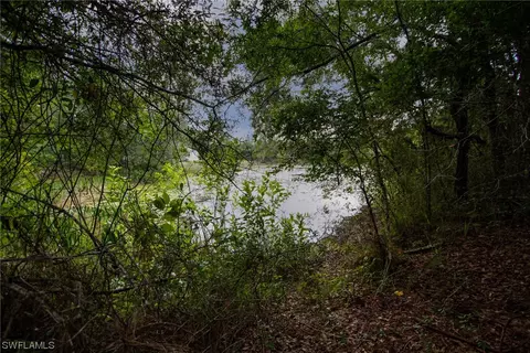 34132 August Ave, Webster, FL 33597 photo 5