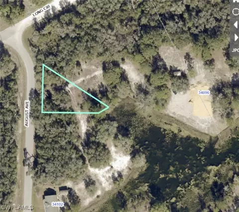 34132 August Ave, Webster, FL 33597 photo 9