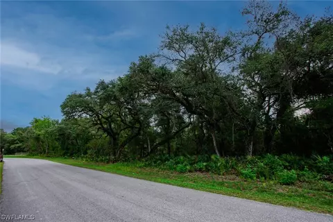 34132 August Ave, Webster, FL 33597 photo 6