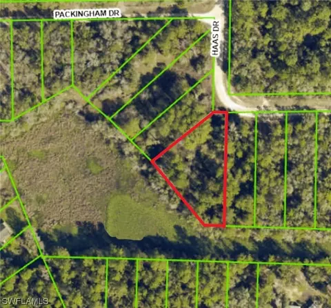 34160 Haas Dr, Webster, FL 33597 photo 3