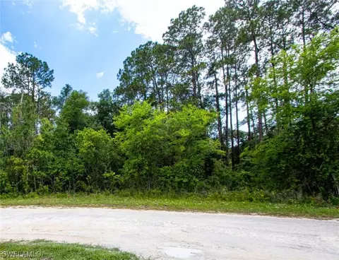 34160 Haas Dr, Webster, FL 33597