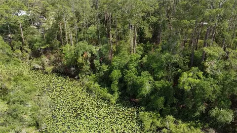 34160 Haas Dr, Webster, FL 33597 photo 4