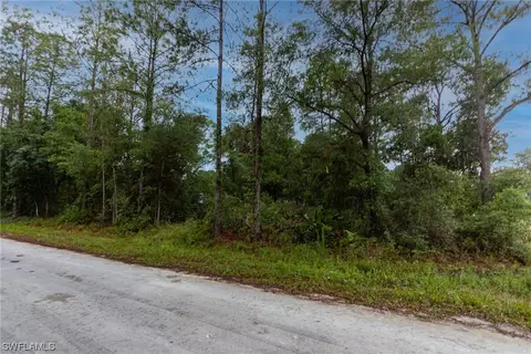35360 Goethals St, Webster, FL 33597
