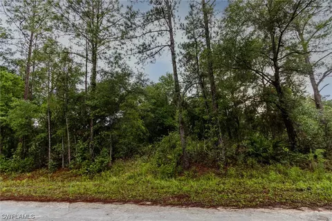 35360 Goethals St, Webster, FL 33597 photo 2