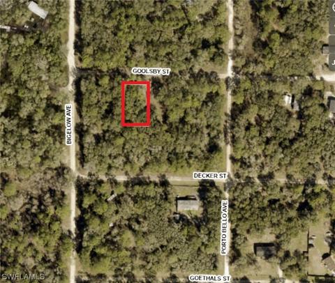 35318 Goolsby St, Webster, FL 33597 photo 2