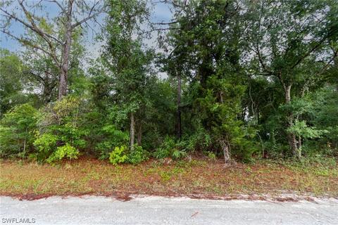 35318 Goolsby St, Webster, FL 33597