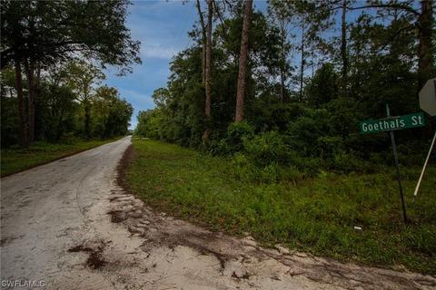 9120 Bigelow Ave, Webster, FL 33597