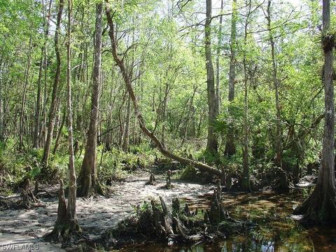 975 N Silver Lake Rd, Labelle, FL 33935