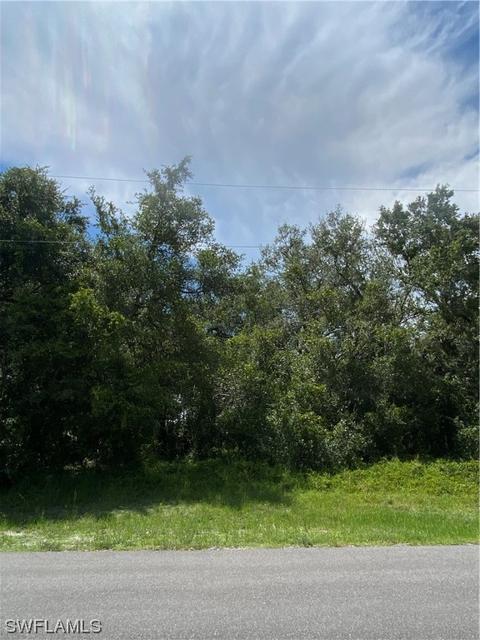 2015 Jeronimo Rd, Labelle, FL 33935