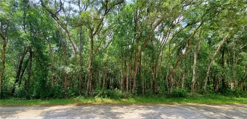 7133 N Canal St, Webster, FL 33597