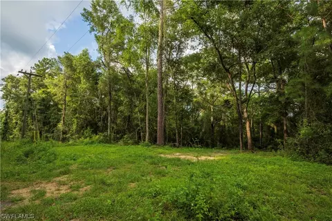 NE Blue Springs Church Rd, Madison, FL 32059