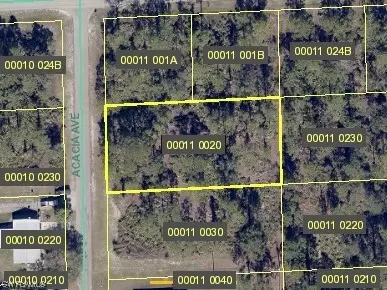 1620 Acacia Ave, Lehigh Acres, FL 33972