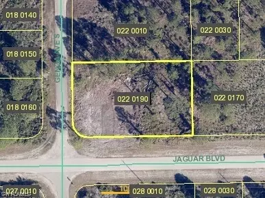 1105 Jaguar Blvd, Lehigh Acres, FL 33974