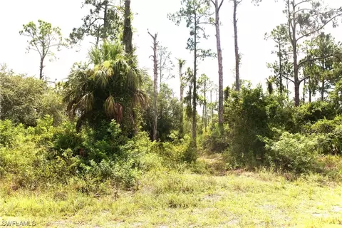 906 Leroy Ave, Lehigh Acres, FL 33972