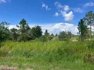 720 S Live Oak St, Clewiston, FL 33440