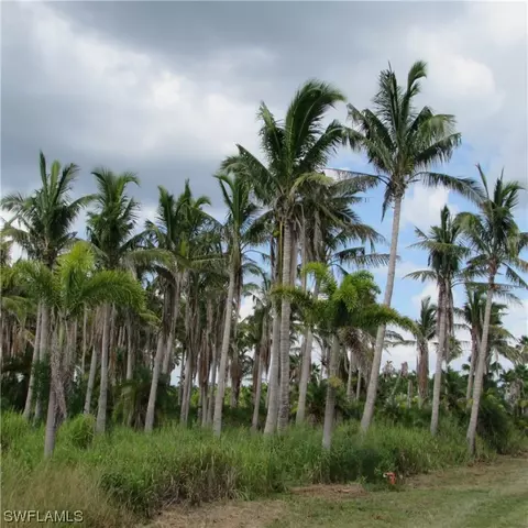 14900 Stringfellow Rd, Bokeelia, FL 33922 photo 19