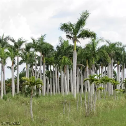 14900 Stringfellow Rd, Bokeelia, FL 33922 photo 6