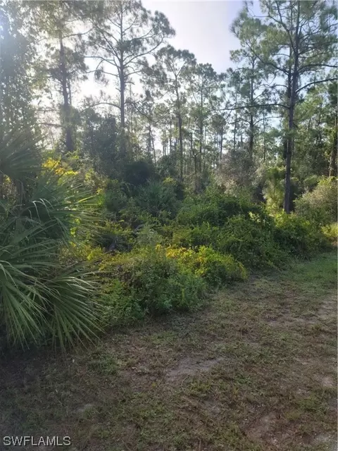 2317 Johns Ave, Alva, FL 33920