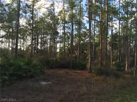 2211 Canton Ave, Alva, FL 33920