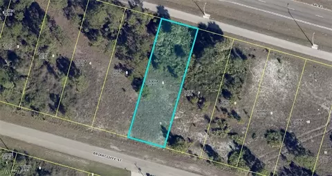 1211 Briarcliffe St, Fort Myers, FL 33913