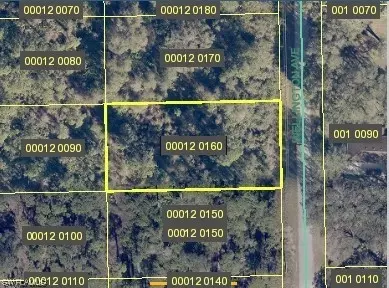 2007 Wellington Ave, Alva, FL 33920