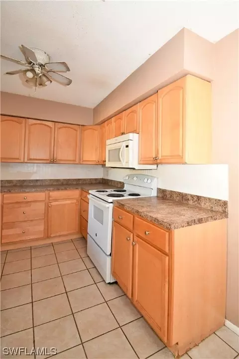 460 Mount Vernon Ct, Eustis, FL 32726 photo 10