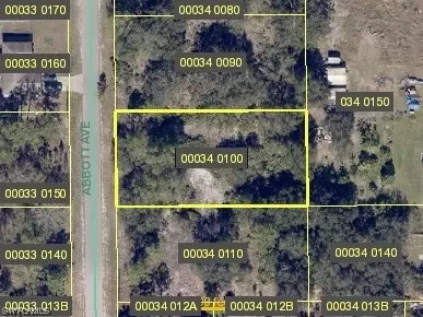 1004 Abbott Ave, Lehigh Acres, FL 33972