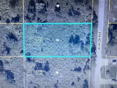 1407 Acacia Ave, Lehigh Acres, FL 33972