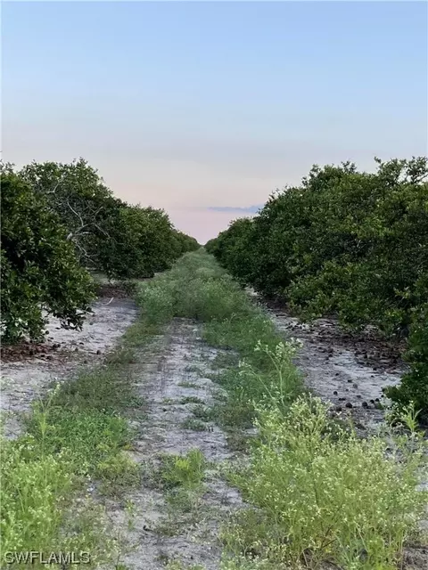6545 7th Rd, Labelle, FL 33935 photo 5