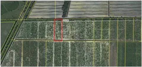 6545 7th Rd, Labelle, FL 33935 photo 6