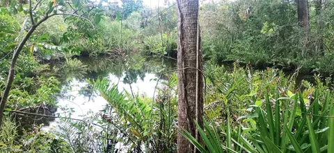 17011 Cypress Creek Dr, North Fort Myers, FL 33917