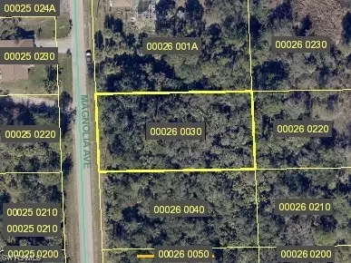 618 Magnolia Ave, Lehigh Acres, FL 33972
