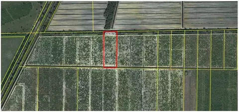 6595 7th Rd, Labelle, FL 33935 photo 2