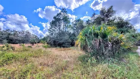 1515 Treetop Ln, Clewiston, FL 33440