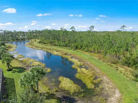 20506 Black Tree Ln, Estero, FL 33928 photo 38